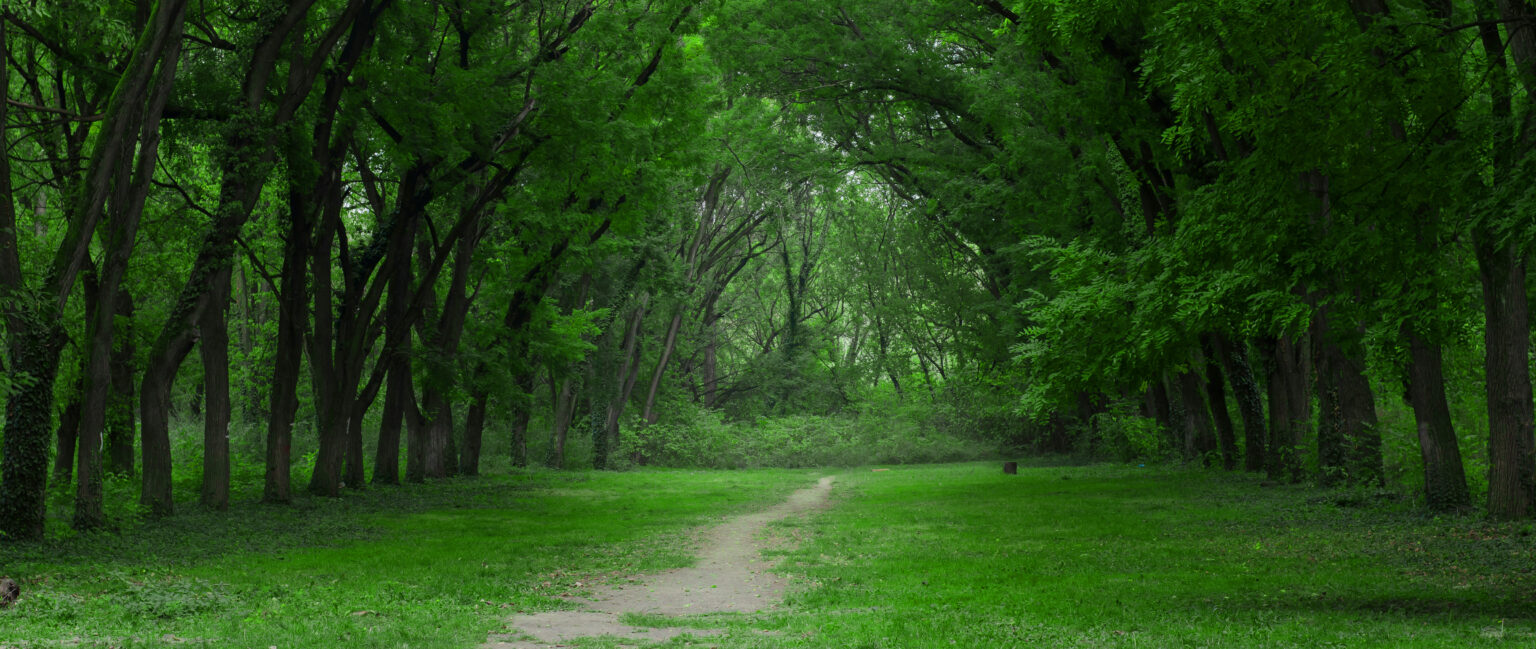 South Carolina Adult Care Homes Care Availability