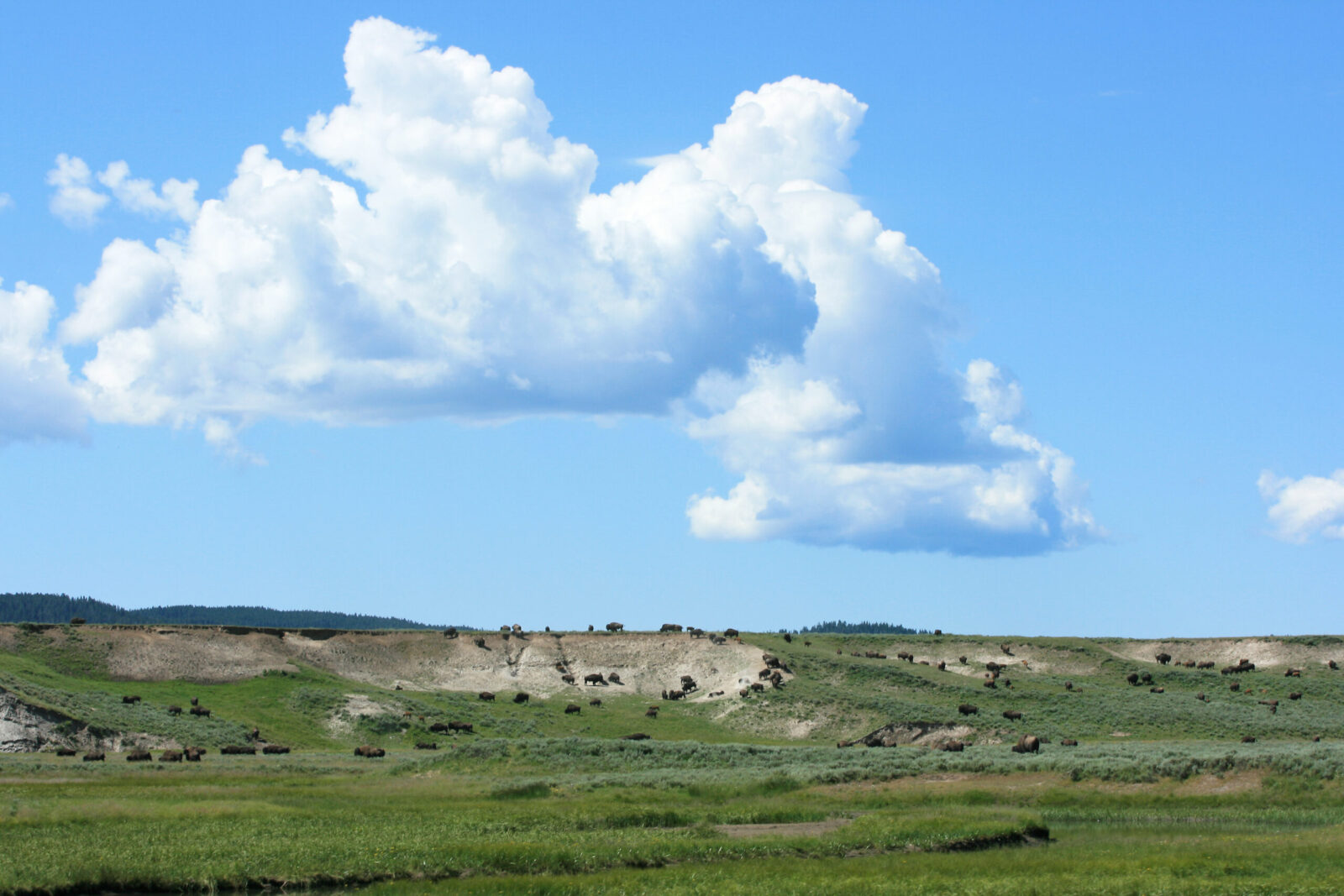 Home Health in Missoula, MT Care Availability