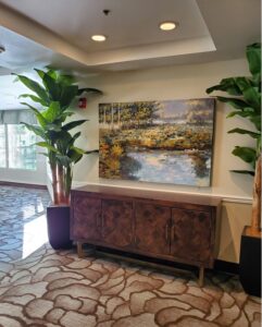Avamere at Park Place