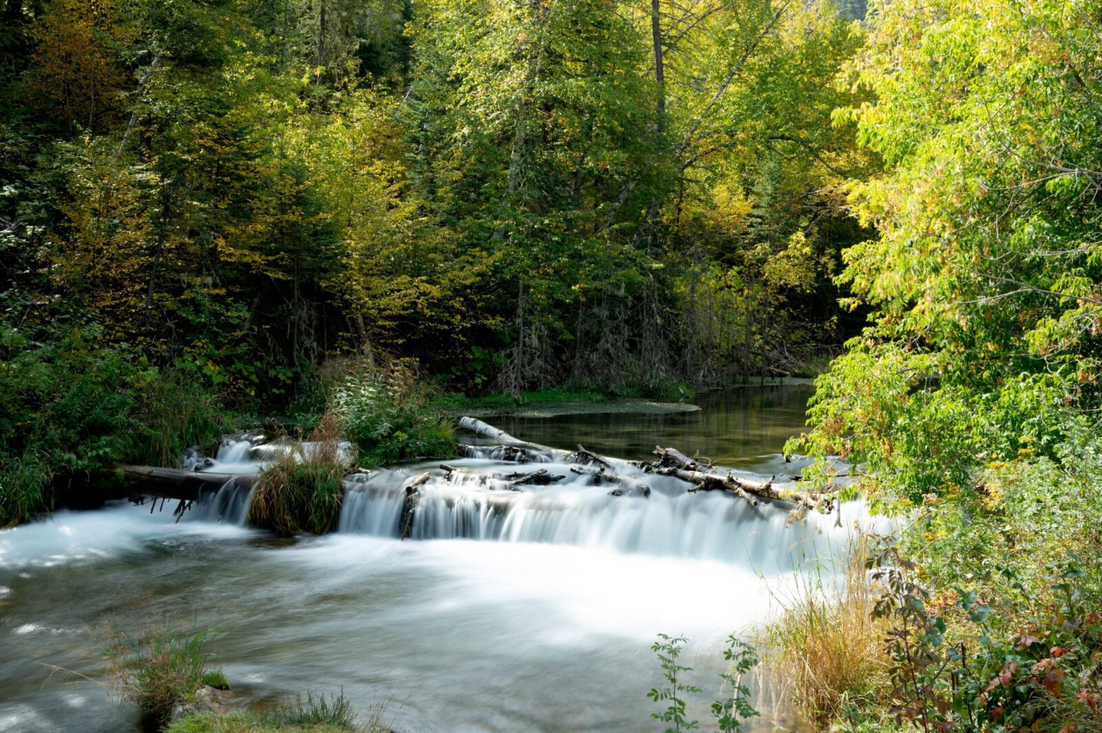 Assisted Living in Brookings, SD Care Availability