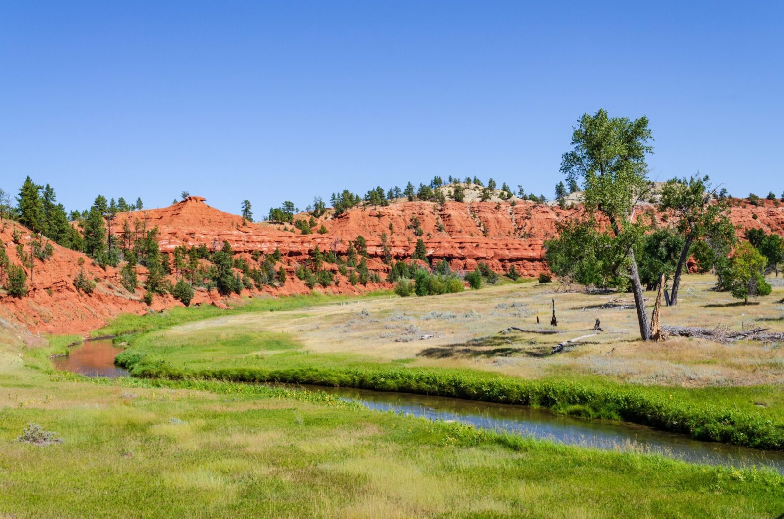 Home Health in Cheyenne, Wyoming