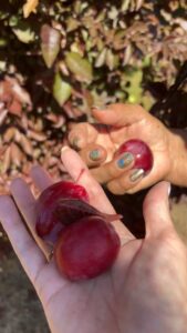 St. Andrews Memory Care