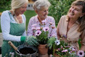 volunteer opportunities